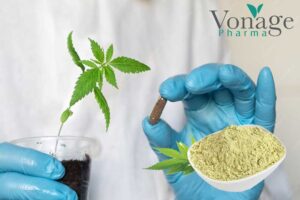 Endocannabinoid System: Role in B2B CBD Formulations