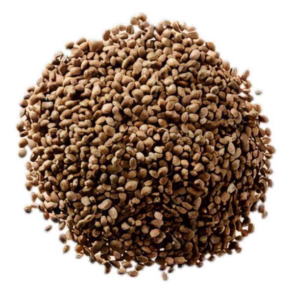 Toasted Hemp Seed