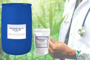 Water-Soluble-CBD-Powder-Bioavailability,-Specs-&-B2B-Suppliers