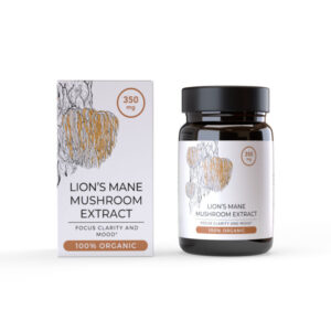 Lion’s Mane Mushroom