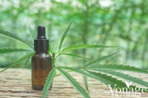 CBDA vs CBD: What's the Difference?
