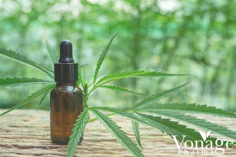 CBDA vs CBD: What's the Difference?